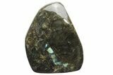 Flashy, Free-Standing Polished Labradorite - Madagascar #237863-2